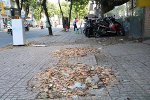 Vì sao quận 1 sửa chữa hàng loạt vỉa hè?