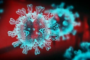 Một biến thể của virus SARS-COV-2. ẢNH: NEWS SKY