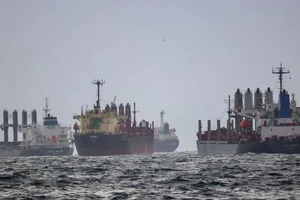 Tàu chở các sản phẩm nông nghiệp qua Biển Đen neo tại TP Istanbul (Thổ Nhĩ Kỳ) hồi tháng 12-2022. Ảnh: Reuters