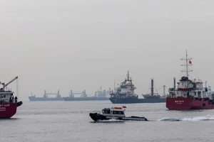 Nhóm tàu chở nông sản qua Biển Đen cập bến TP Istanbul (Thổ Nhĩ Kỳ). Ảnh: REUTERS