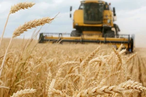 Hình ảnh thu hoạch lúa mì tại Ukraine. Ảnh: AFP