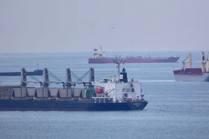 Những tàu chở ngũ cốc qua Biển Đen đang đợi kiểm tra tại cảng TP Istanbul (Thổ Nhĩ Kỳ) Ảnh: REUTERS