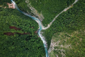 'Trái tim xanh' của châu Âu lâm nguy 