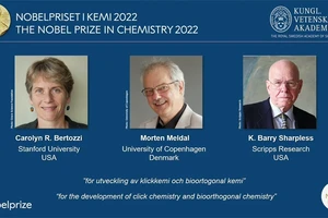 Nobel Hóa học 2023: Sẽ gọi tên hóa sinh, hay hóa phân tích, hóa hữu cơ?