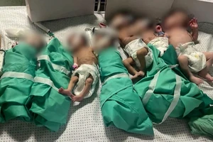Chạy đua thời gian cứu trẻ sơ sinh ở Gaza
