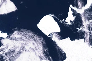 Báo động từ việc tảng băng trôi lớn nhất thế giới dịch chuyển 