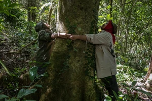 Những 'nữ chiến binh' kiên trì bảo vệ rừng