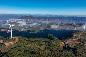 5 điểm sáng trong cuộc chiến chống biến đổi khí hậu 2023