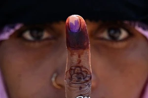 Độc lạ 'mực cử tri'