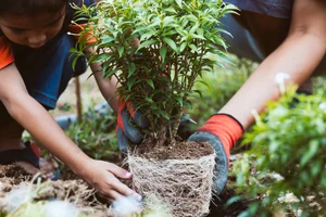 Bảo vệ môi trường, chuyện không chỉ của người lớn