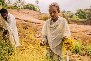 Độc lạ một nước vẫn mới năm 2016 khi cả thế giới đã 2024 