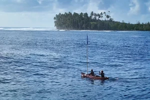 Số phận những con cá heo và người dân trên hòn đảo đang chìm