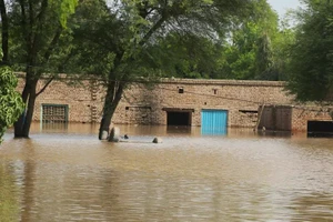 Khi 'ốc đảo mùa hè' biến thành rốn lũ chết người