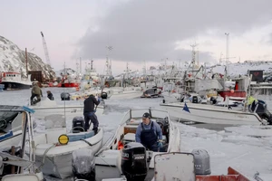 80% diện tích là băng, nền kinh tế Greenland vận hành thế nào?