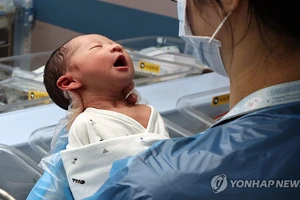 Tỉ lệ sinh Hàn Quốc tăng: Xu hướng dài hạn hay hiện tượng tạm thời?