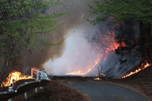 1.500 lính cứu hỏa, binh sĩ vật lộn với trận cháy rừng kéo dài 5 ngày ở Nhật
