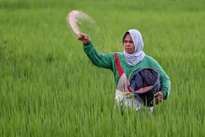 Nguồn cung lương thực toàn cầu lao đao vì chiến sự Trung Đông
