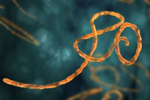 Dùng công nghệ Nano để tiêu diệt virus Ebola