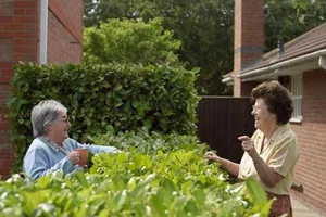 Giải mã tục ngữ “Bà con xa không bằng láng giềng gần”: giảm đau tim và đột quỵ