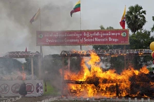 'Tóm' lô thuốc lắc trị giá hơn 4,2 nghìn tỷ đồng