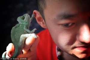 Ngắm 15 con thú cưng 'độc đáo'