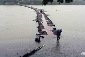 Mưa bão dồn dập giết chết 11 người