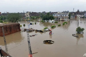 Mưa lớn, chính phủ hoạt động thiếu hiệu quả làm chết 40 người