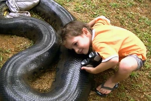 Kinh hoàng: 'Tay không' bắt rắn dài hơn 5 mét