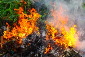 Đốt rác thôi cũng sập nhà