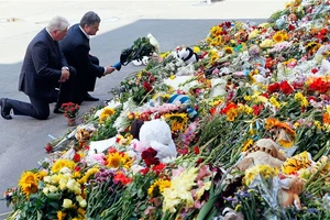 Ukraine bị kiện, đòi bồi thường 1 triệu USD vì 'vô trách nhiệm' vụ MH17