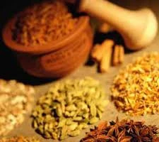 Nga 'thích thú' nền Y học cổ truyền Trung Quốc