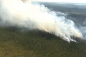 Gần 8000 người di tản vì cháy rừng khủng khiếp