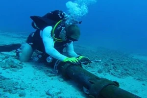 Clip các nhà khoa học 'minh oan' cho cá mập về việc đứt cáp quốc tế