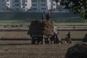 13 triệu người Triều Tiên sẽ 'thiếu ăn' vào 2025