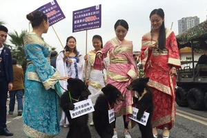 Bức xúc vì doanh nghiệp xích gấu đi quảng bá bất động sản 