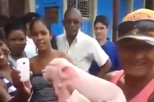 Xôn xao clip chú heo mặt khỉ 