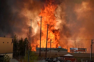 80.000 người sơ tán vì cháy rừng lan qua cháy nhà