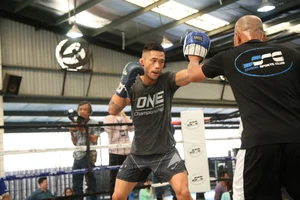 Martin Nguyen muốn hạ knock out Bibiano Fernandes