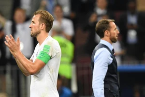 Khi Sư tử Anh hóa mèo hoang...