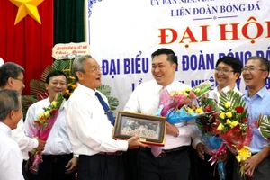 Bóng đá Bình Định khao khát trở về mái nhà xưa