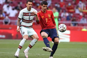 'Bò tót' Tây Ban Nha đòi ăn tươi nuốt sống màu vàng - xanh Thụy Điển 