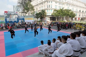 Sự kiện võ thuật độc, lạ chào năm mới tại TP.HCM