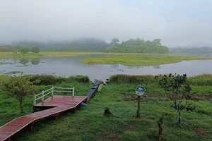 Vào rừng Nam Cát Tiên đạp xe, đi bộ tìm bình yên