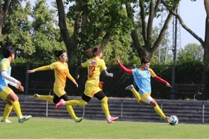 Tuyển Việt Nam đá kiểu gì tại World Cup?