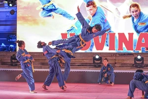 Hàn Quốc, Nhật Bản tham gia Liên hoan Tự hào võ Việt - Hội nhập quốc tế 