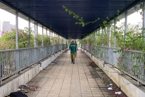 cầu vượt bộ hành