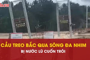 cầu treo, cuốn trôi, sông Đa Nhim