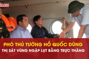 Phó Thủ tướng, Hồ Quốc Dũng, thị sát, vùng ngập lụt, trực thăng