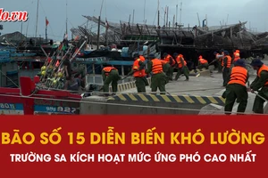 đặc khu Trường Sa, bão số 15, ứng phó bão