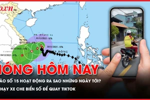 bão số 15, xe che biển số để quay TikTok, sốt xuất huyết, nhiều bệnh truyền nhiễm tiếp tục tăng, 